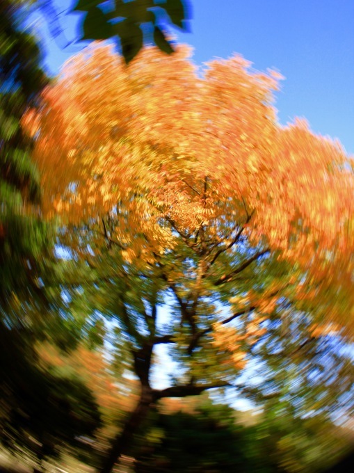 a0248459_15325827.jpg