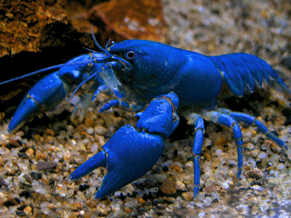 b0177760_033761.jpg