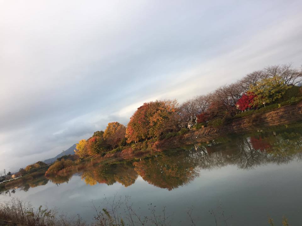 c0115560_10192227.jpg