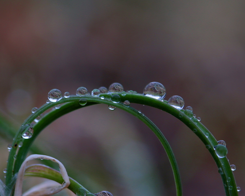 　～ 初冬・氷雨の後に ～_c0305565_18031924.jpg