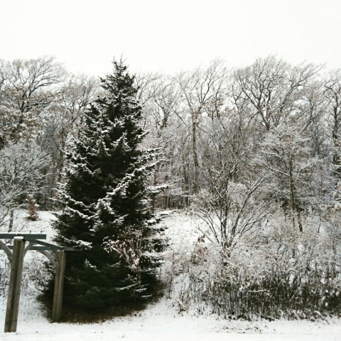 c0311170_19243434.jpg