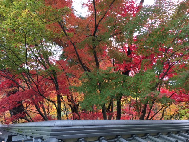 f0254170_10313399.jpg
