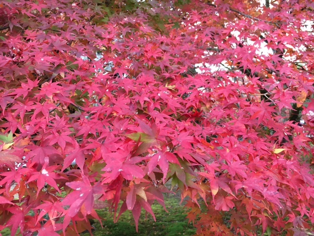 f0254170_10313794.jpg