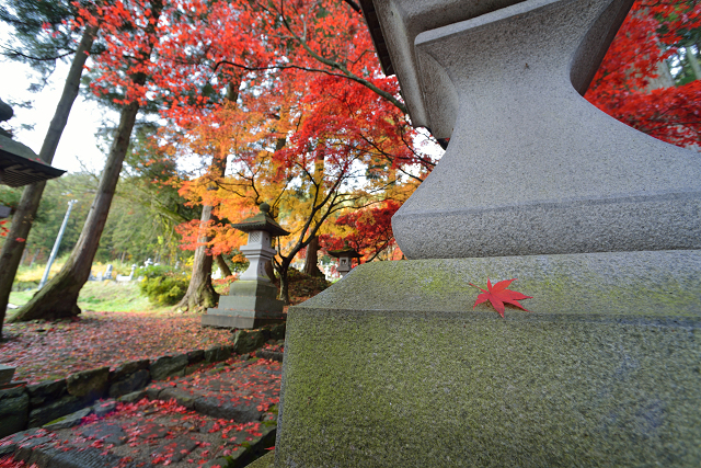 2016 清水寺（せいすいじ）紅葉　その６_c0197772_2151821.jpg