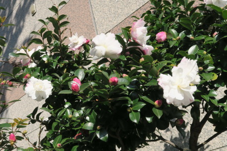 e0292172_20303530.jpg