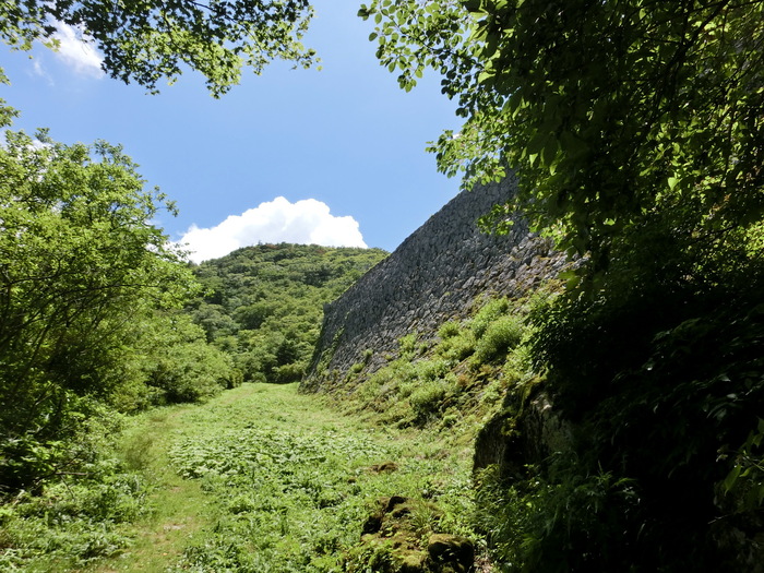 b0185573_4262018.jpg