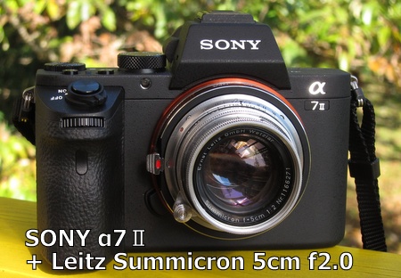 Sony α7Ⅱ+ Leitz Summicron （ライツ　ズミクロン） 5cm F2.0　沈胴式_b0132475_2325523.jpg