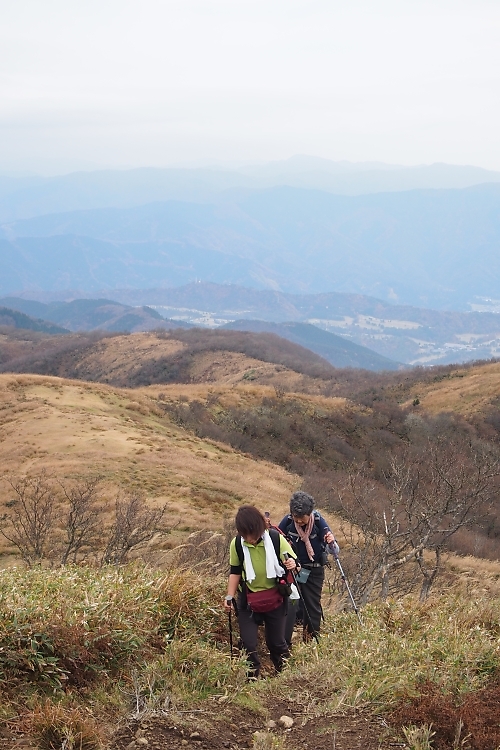 晩秋の森で遊ぶ　By三十三間山_c0359075_20443601.jpg