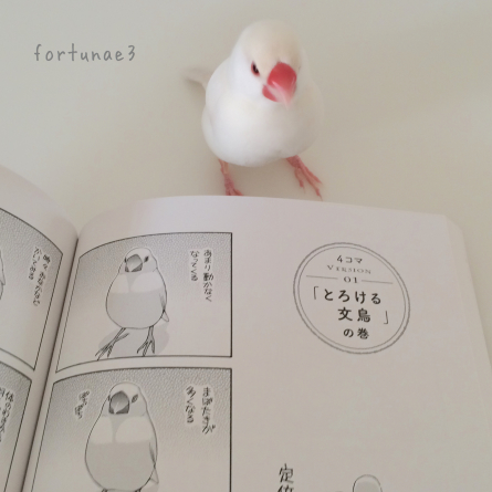 すぴすぴ便り その2 はる便り