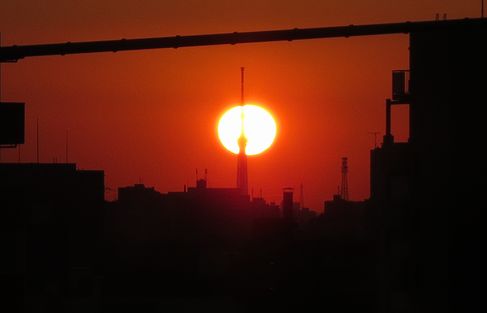 d0020180_85936100.jpg