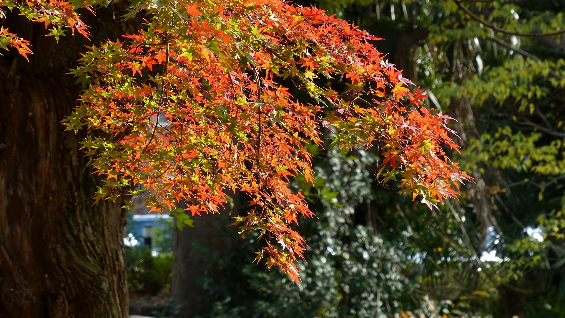a0185081_21251877.jpg