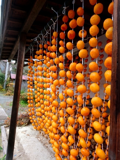 犀川(今年16回目)_c0157482_09401325.jpg