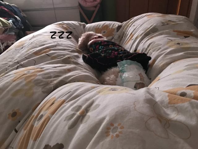 f0218182_16121443.jpg