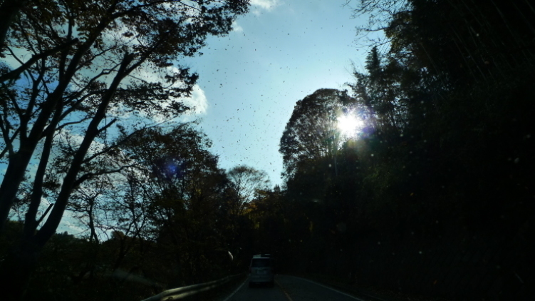 c0212083_15552910.jpg