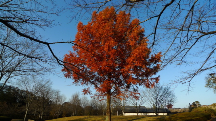 c0212083_15573283.jpg