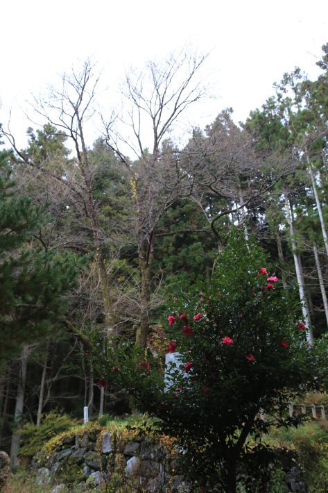 c0358784_12293426.jpg