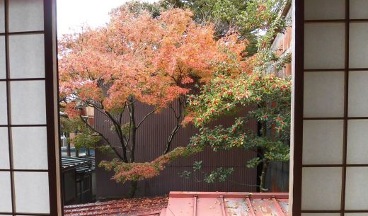 インフルエンザ等の対応について_b0231886_16455097.jpg