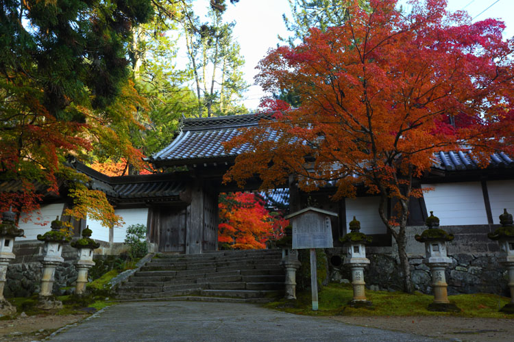 西明寺_e0051888_6144722.jpg