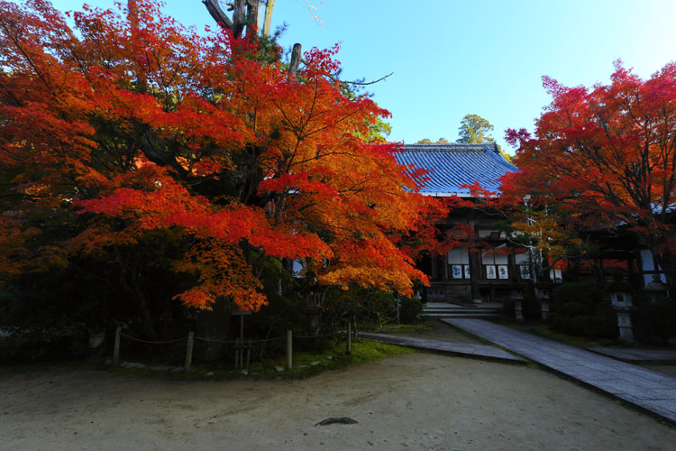 西明寺_e0051888_6145470.jpg