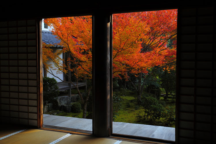 西明寺_e0051888_6151553.jpg