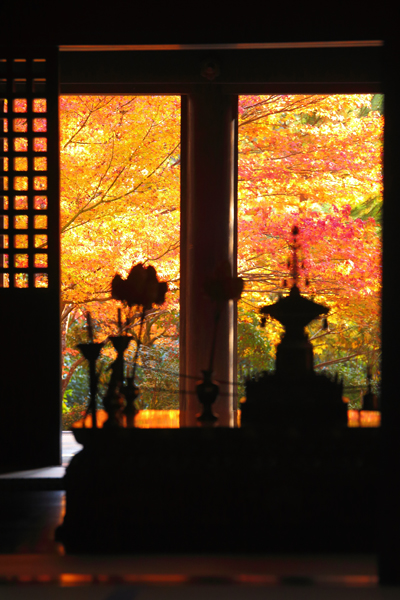 西明寺_e0051888_6152841.jpg