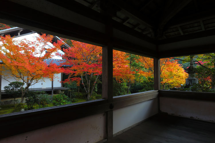 西明寺_e0051888_615413.jpg