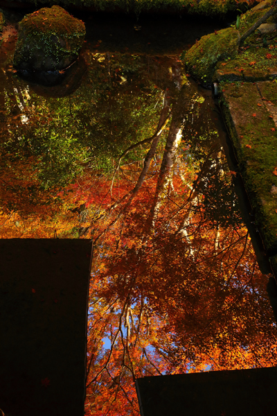 西明寺_e0051888_6155049.jpg