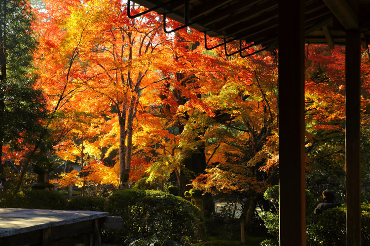 西明寺_e0051888_615593.jpg