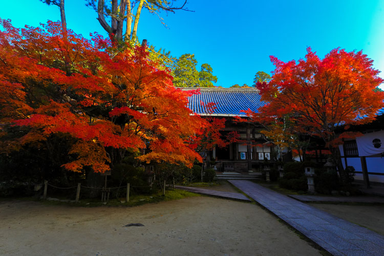 西明寺_e0051888_616176.jpg