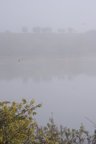c0337494_16352617.jpg