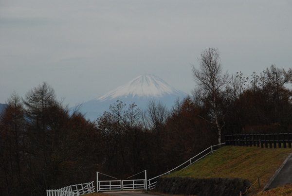 d0153294_14292239.jpg