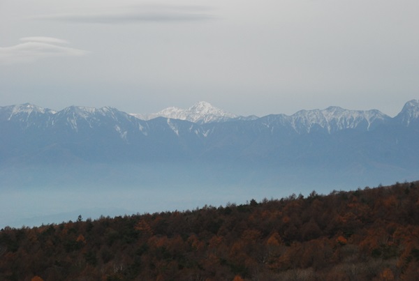 d0153294_1441543.jpg