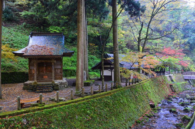 福井　紅葉徘徊・永平寺_f0374895_18162944.jpg