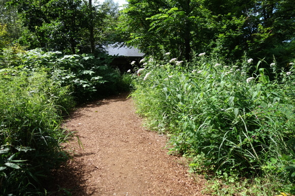 f0174198_20320404.jpg