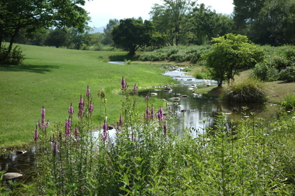 f0174198_20402726.jpg