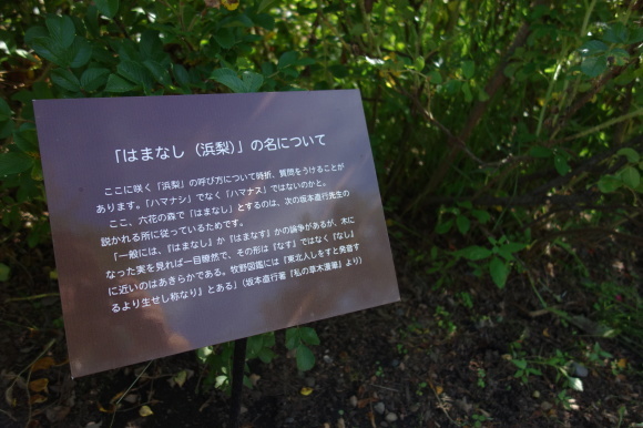 f0174198_20421939.jpg