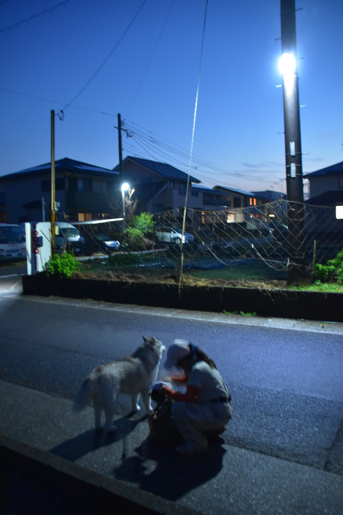 こんな季節になりました (*^_^*)_c0049299_22322912.jpg