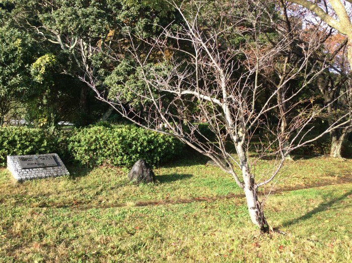 f0247600_16005750.jpeg