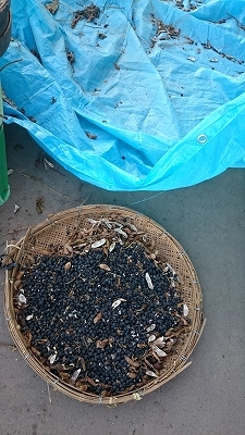 c0163102_22560938.jpg