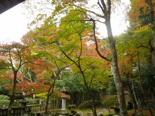 16-11：里山紅葉「金比羅山＆烽火山」　　　　_f0187402_18111811.jpg