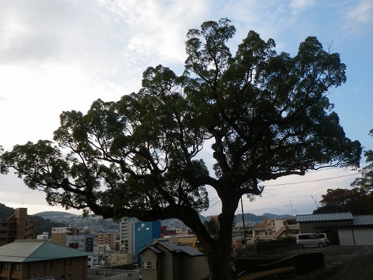 16-11：里山紅葉「金比羅山＆烽火山」　　　　_f0187402_18121123.jpg