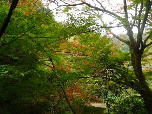 f0187402_18145940.jpg