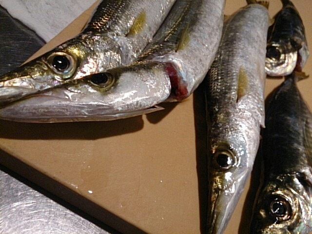 a0216805_09385825.jpg
