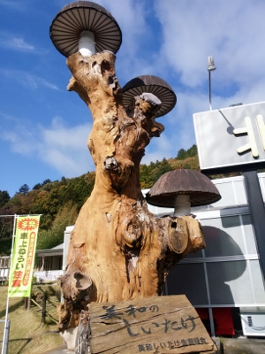 b0040606_21422867.jpg