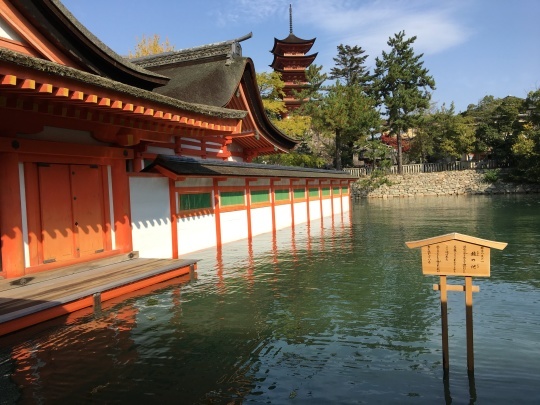 b0043506_20384137.jpg