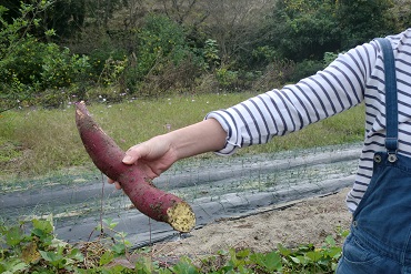 f0238106_205452.jpg