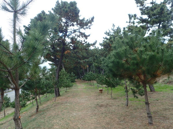 c0367107_12213446.jpg