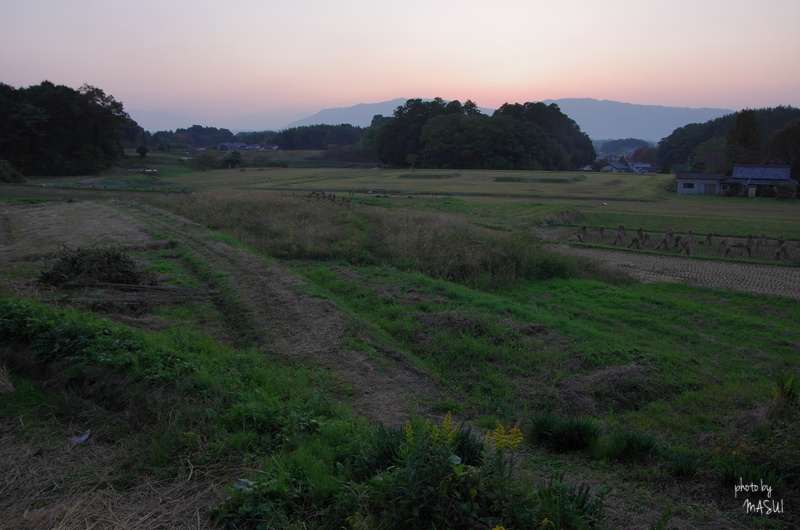 桜井市山田　寂_d0342307_21375164.jpg