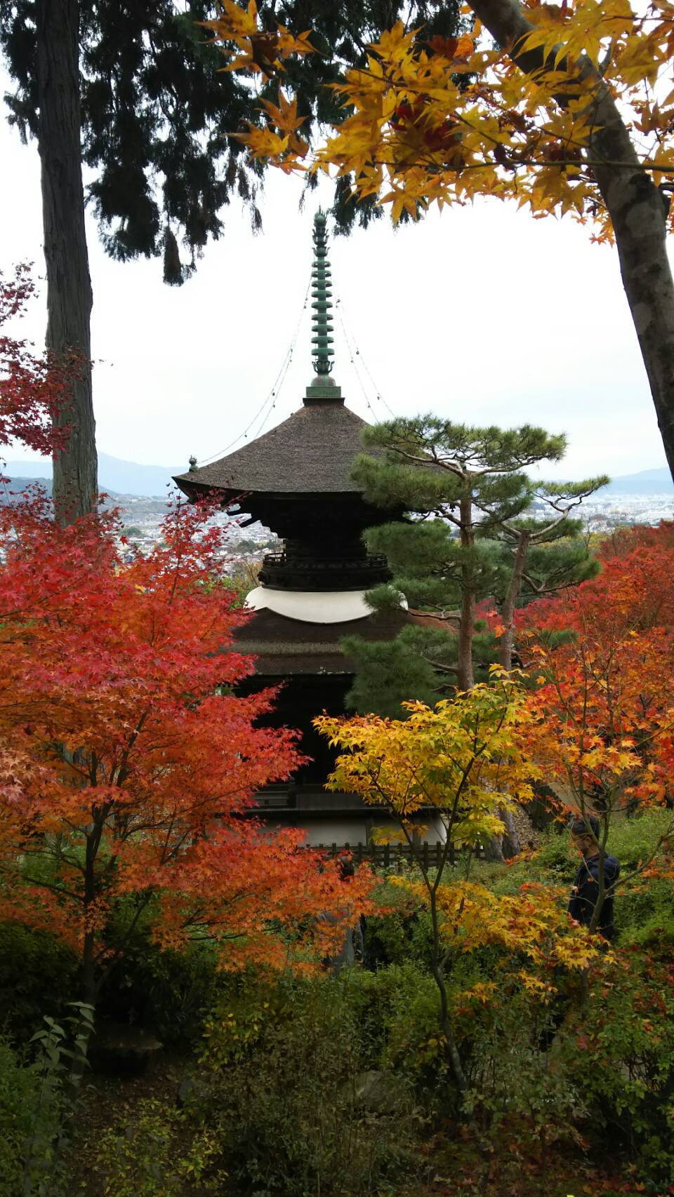 紅葉の京都に_f0316507_15265438.jpg