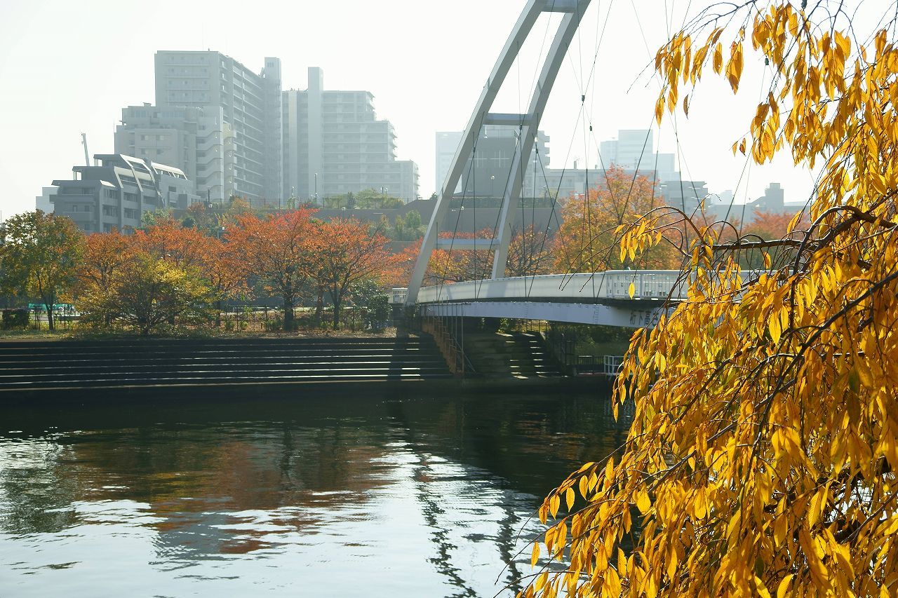 海上公園も晩秋_b0225108_09412779.jpg